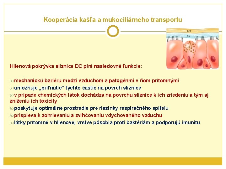 Kooperácia kašľa a mukociliárneho transportu Hlienová pokrývka sliznice DC plní nasledovné funkcie: mechanickú bariéru