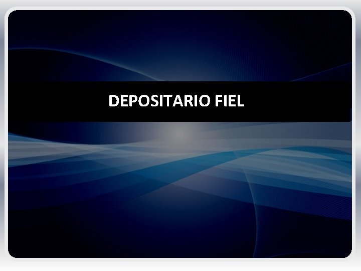 DEPOSITARIO FIEL 