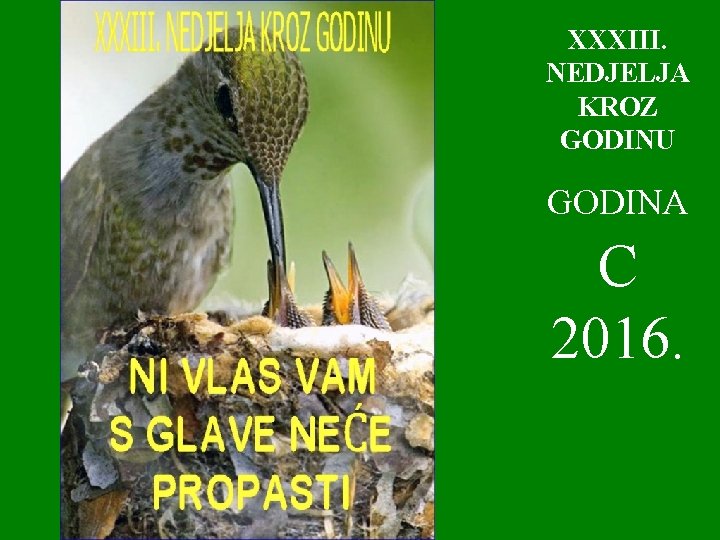 XXXIII. NEDJELJA KROZ GODINU GODINA C 2016. 