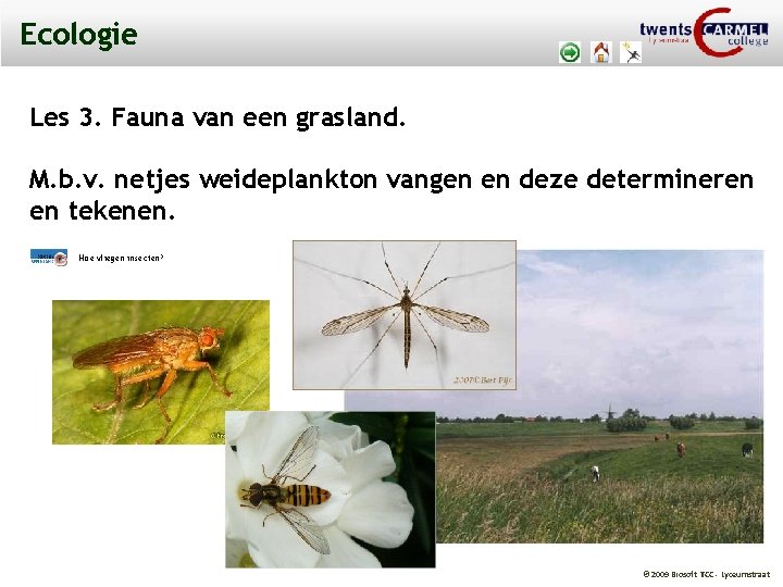 Ecologie Les 3. Fauna van een grasland. M. b. v. netjes weideplankton vangen en