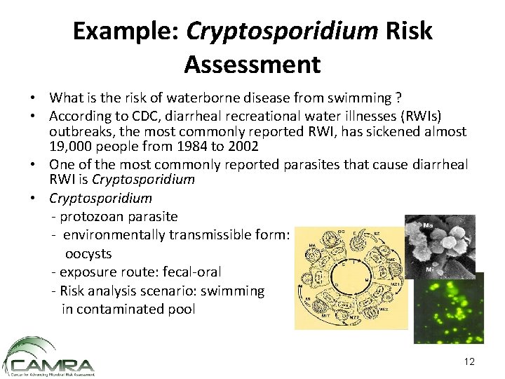 Example: Cryptosporidium Risk Assessment • What is the risk of waterborne disease from swimming