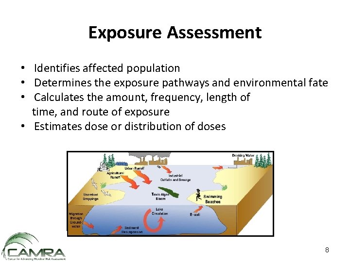 Exposure Assessment • Identifies affected population • Determines the exposure pathways and environmental fate