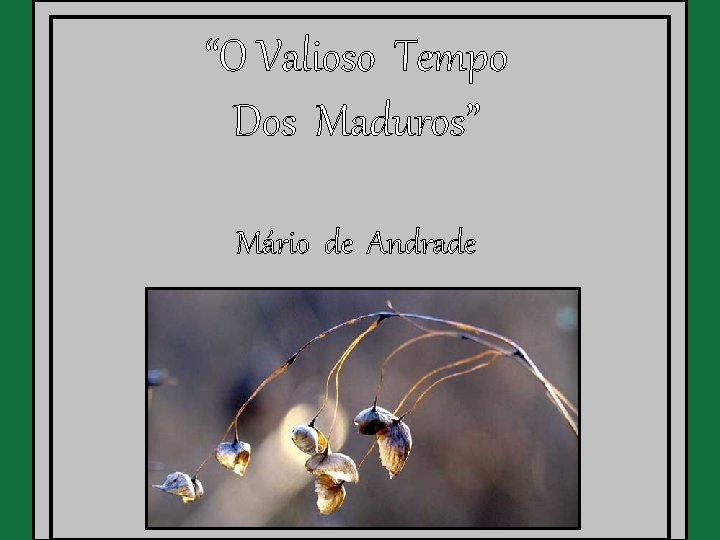 “O Valioso Tempo Dos Maduros” Mário de Andrade 