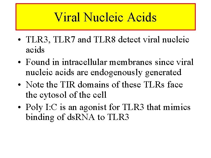 Viral Nucleic Acids • TLR 3, TLR 7 and TLR 8 detect viral nucleic