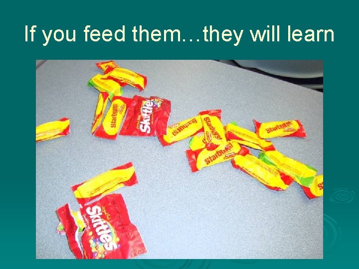If you feed them…they will learn 