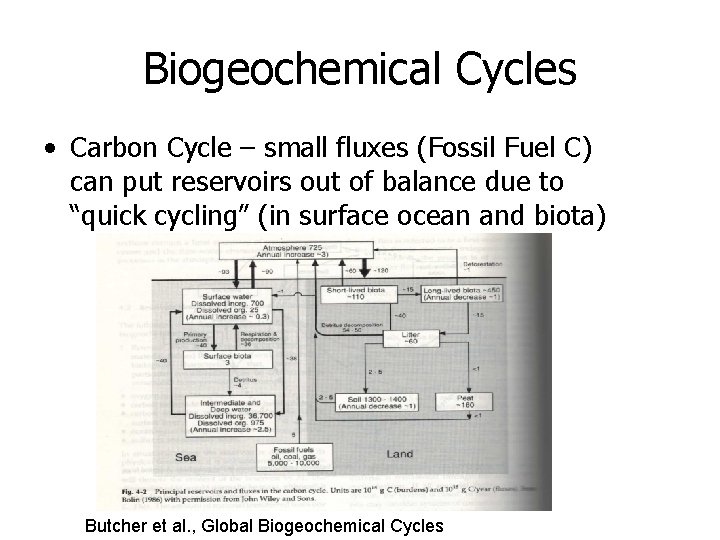 Biogeochemical Cycles • Carbon Cycle – small fluxes (Fossil Fuel C) can put reservoirs