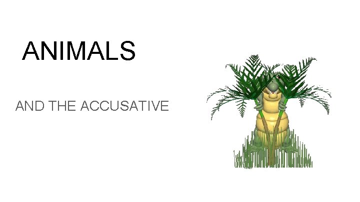 ANIMALS AND THE ACCUSATIVE 