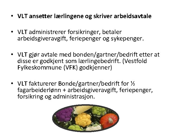  • VLT ansetter lærlingene og skriver arbeidsavtale • VLT administrerer forsikringer, betaler arbeidsgiveravgift,