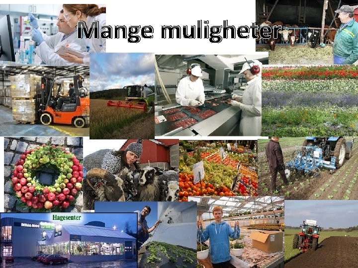 Mange muligheter 