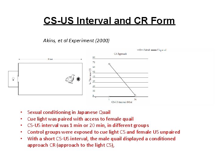 CS-US Interval and CR Form Akins, et al Experiment (2000) • • • Sexual
