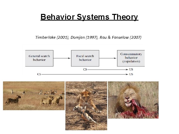 Behavior Systems Theory Timberlake (2001), Domjan (1997), Rau & Fanselow (2007) 