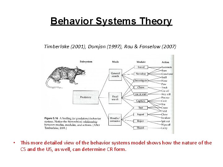 Behavior Systems Theory Timberlake (2001), Domjan (1997), Rau & Fanselow (2007) • This more