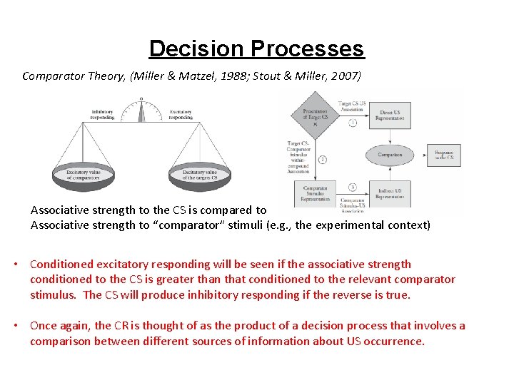 Decision Processes Comparator Theory, (Miller & Matzel, 1988; Stout & Miller, 2007) Associative strength