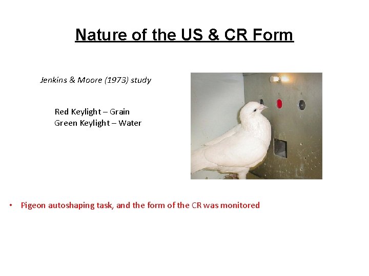 Nature of the US & CR Form Jenkins & Moore (1973) study Red Keylight