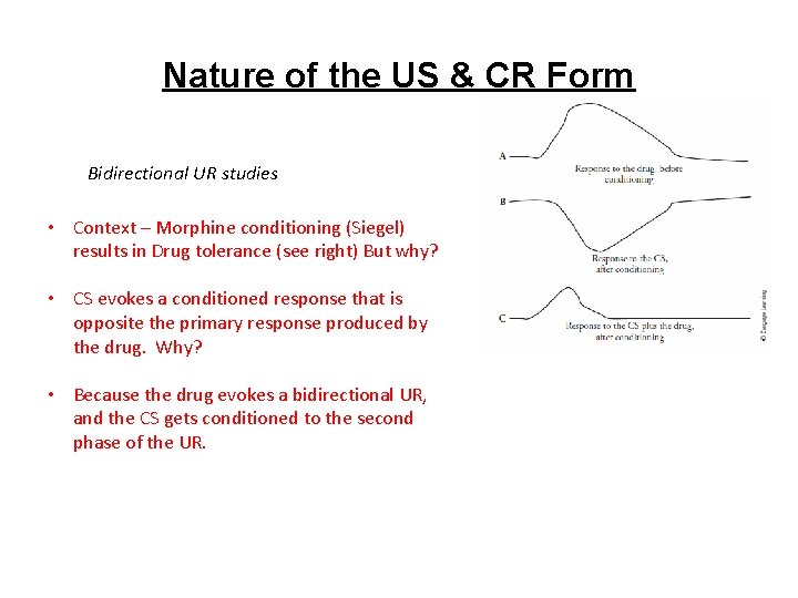 Nature of the US & CR Form Bidirectional UR studies • Context – Morphine