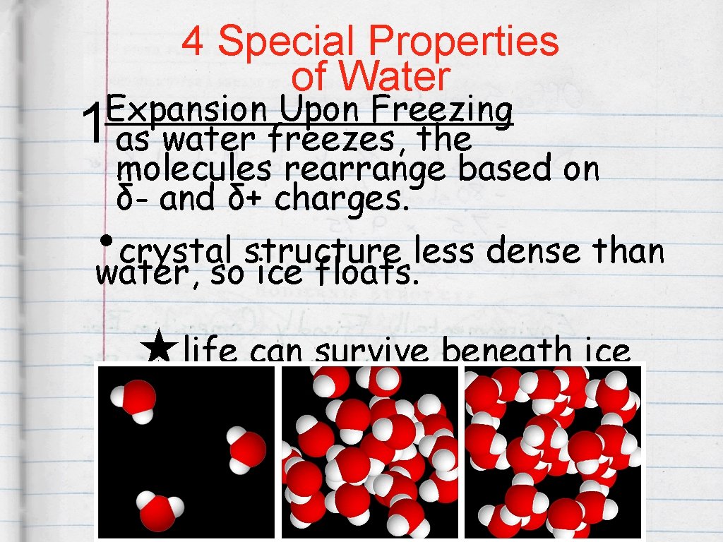 4 Special Properties of Water Expansion Upon Freezing as water freezes, the molecules rearrange