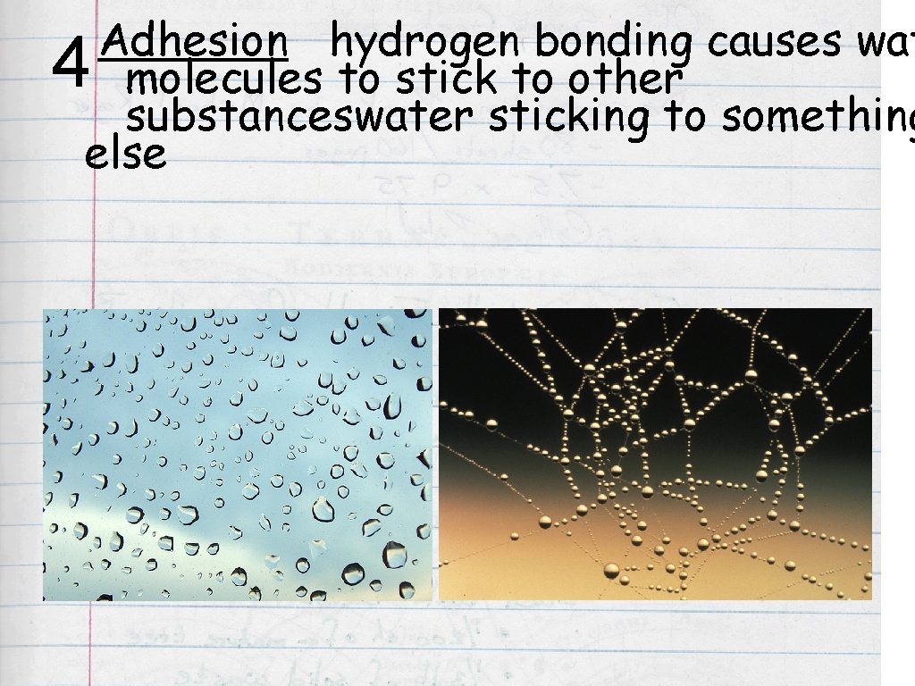Adhesion hydrogen bonding causes wat molecules to stick to other substanceswater sticking to something