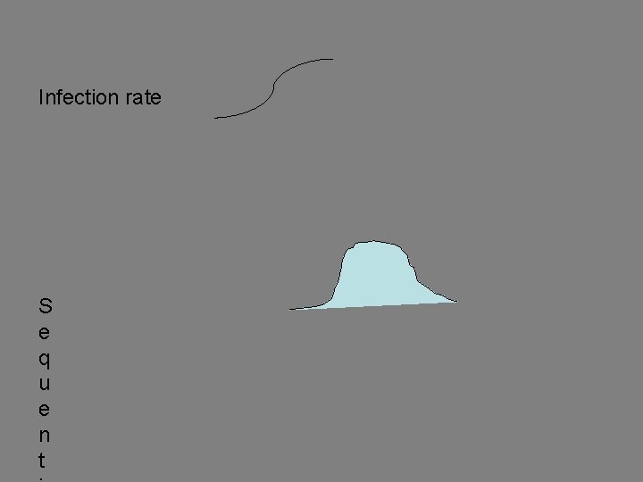 Infection rate S e q u e n t 