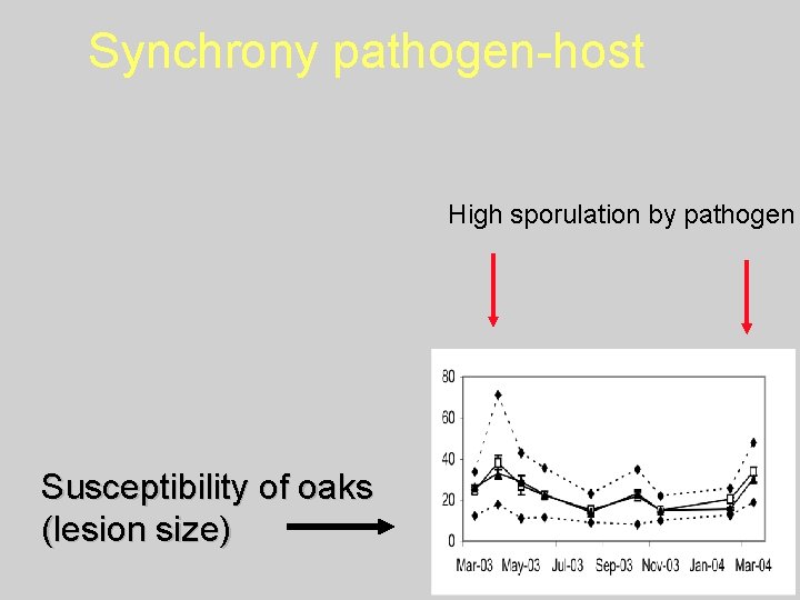 Synchrony pathogen-host High sporulation by pathogen Susceptibility of oaks (lesion size) 