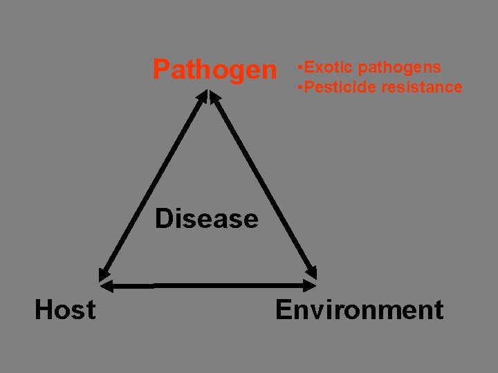 Pathogen • Exotic pathogens • Pesticide resistance Disease Host Environment 