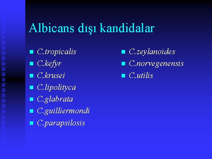 Albicans dışı kandidalar n n n n C. tropicalis C. kefyr C. krusei C.