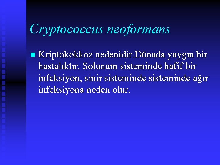 Cryptococcus neoformans n Kriptokokkoz nedenidir. Dünada yaygın bir hastalıktır. Solunum sisteminde hafif bir infeksiyon,