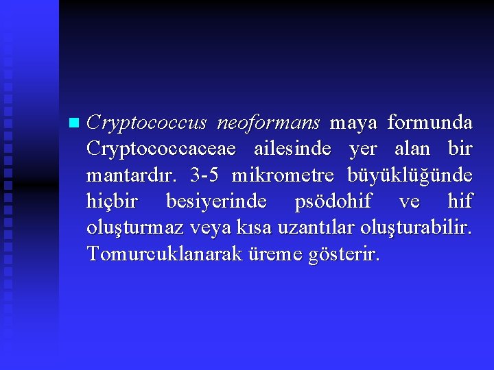 n Cryptococcus neoformans maya formunda Cryptococcaceae ailesinde yer alan bir mantardır. 3 -5 mikrometre