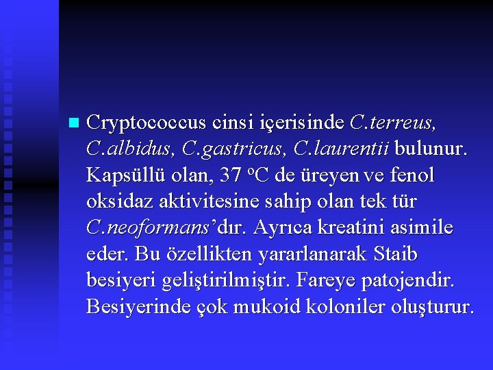 n Cryptococcus cinsi içerisinde C. terreus, C. albidus, C. gastricus, C. laurentii bulunur. Kapsüllü