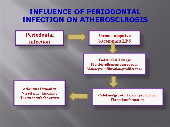 INFLUENCE OF PERIODONTAL INFECTION ON ATHEROSCLROSIS Periodontal infection Gram- negative bacteremia/LPS Endothelial damage Platelet