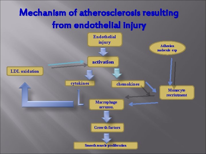 Mechanism of atherosclerosis resulting from endothelial injury Endothelial injury Adhesion molecule exp activation LDL