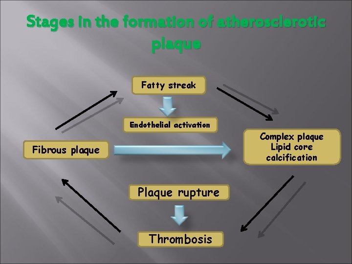 Stages in the formation of atherosclerotic plaque Fatty streak Endothelial activation Fibrous plaque Plaque