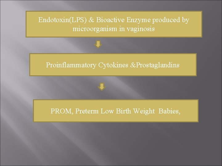 Endotoxin(LPS) & Bioactive Enzyme produced by microorganism in vaginosis Proinflammatory Cytokines &Prostaglandins PROM, Preterm