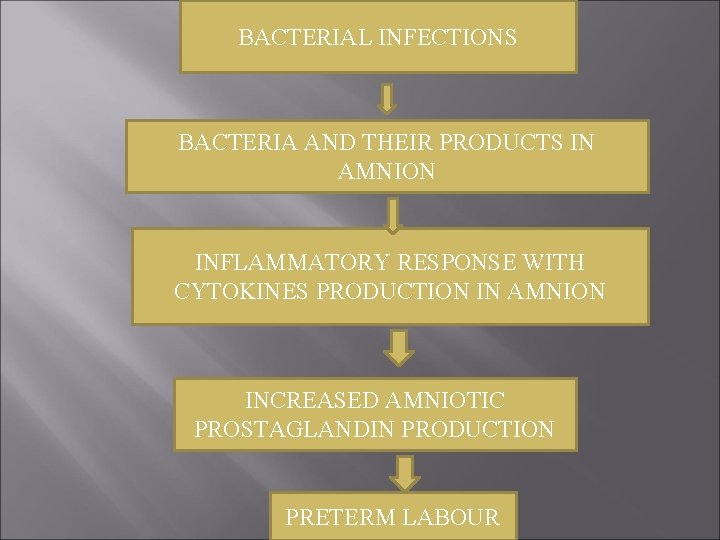 BACTERIAL INFECTIONS BACTERIA AND THEIR PRODUCTS IN AMNION INFLAMMATORY RESPONSE WITH CYTOKINES PRODUCTION IN