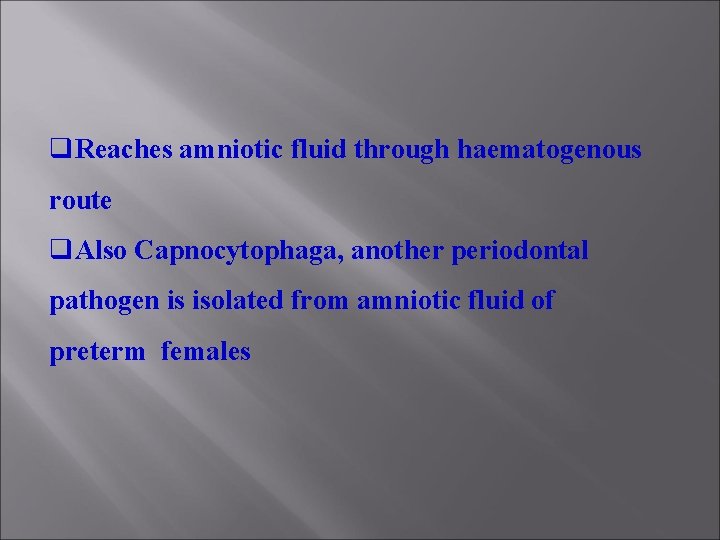 q. Reaches amniotic fluid through haematogenous route q. Also Capnocytophaga, another periodontal pathogen is