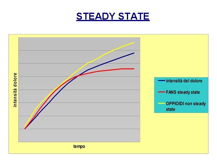 STEADY STATE 