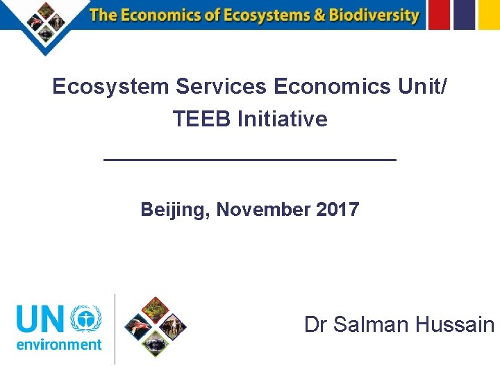 Ecosystem Services Economics Unit/ TEEB Initiative ______________ Beijing, November 2017 Dr Salman Hussain 