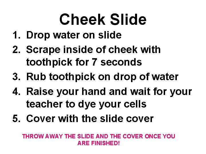 Cheek Slide 1. Drop water on slide 2. Scrape inside of cheek with toothpick