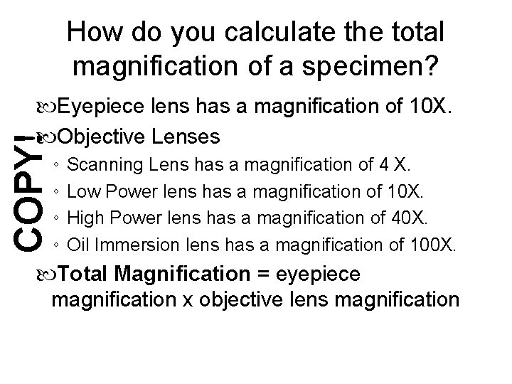 How do you calculate the total magnification of a specimen? COPY! Eyepiece lens has