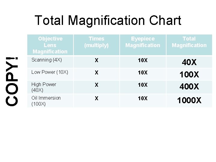 Total Magnification Chart COPY! Objective Lens Magnification Times (multiply) Eyepiece Magnification Total Magnification Scanning