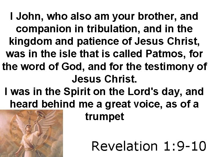 I John, who also am your brother, and companion in tribulation, and in the