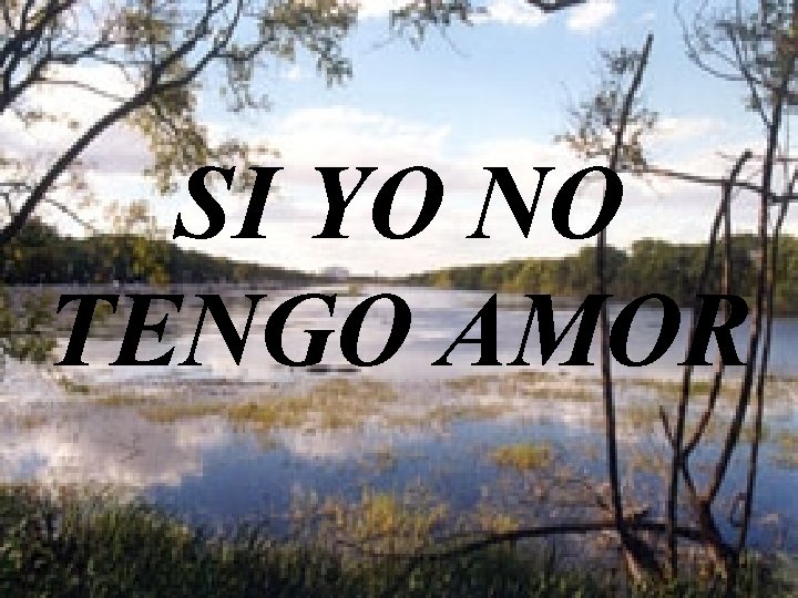 SI YO NO TENGO AMOR 