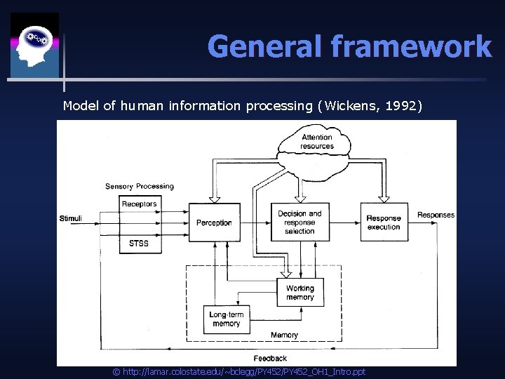 General framework Model of human information processing (Wickens, 1992) © http: //lamar. colostate. edu/~bclegg/PY