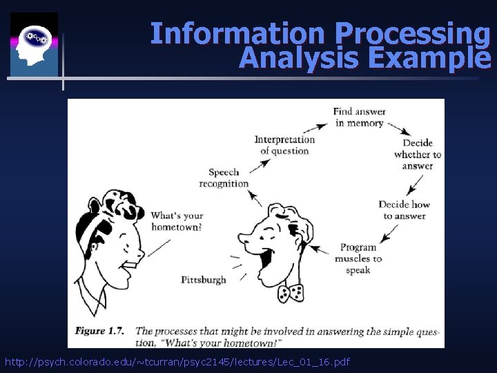 Information Processing Analysis Example http: //psych. colorado. edu/~tcurran/psyc 2145/lectures/Lec_01_16. pdf 