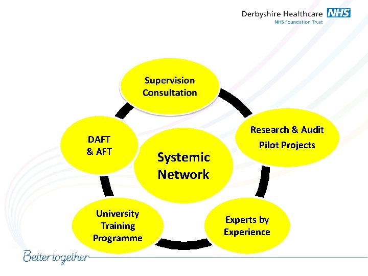 DAFT & AFT University Training Programme Systemic Network Research & Audit Pilot Projects Experts