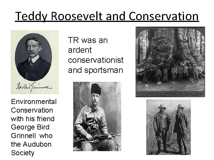 Teddy Roosevelt and Conservation TR was an ardent conservationist and sportsman Environmental Conservation with