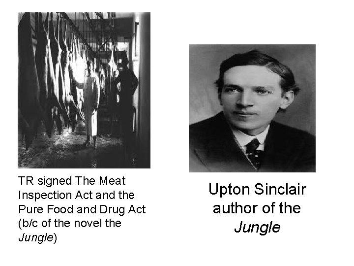 TR signed The Meat Inspection Act and the Pure Food and Drug Act (b/c