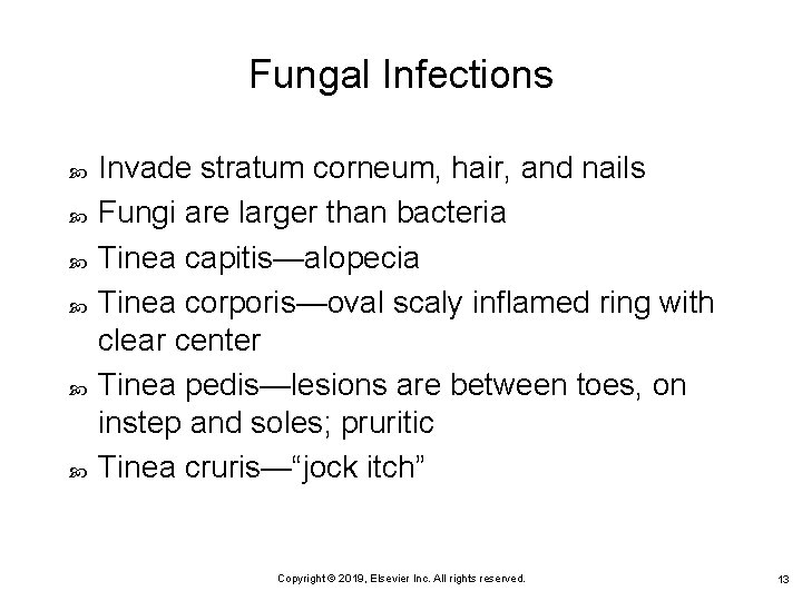 Fungal Infections Invade stratum corneum, hair, and nails Fungi are larger than bacteria Tinea