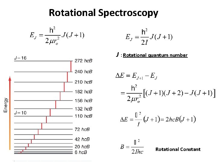 Rotational Spectroscopy J : Rotational quantum number Rotational Constant 