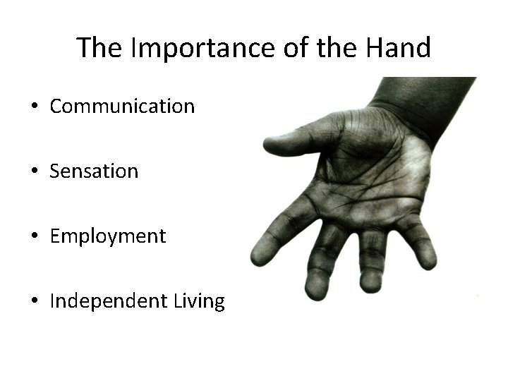 The Importance of the Hand • Communication • Sensation • Employment • Independent Living