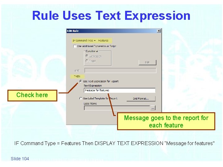 Rule Uses Text Expression Check here Message goes to the report for each feature